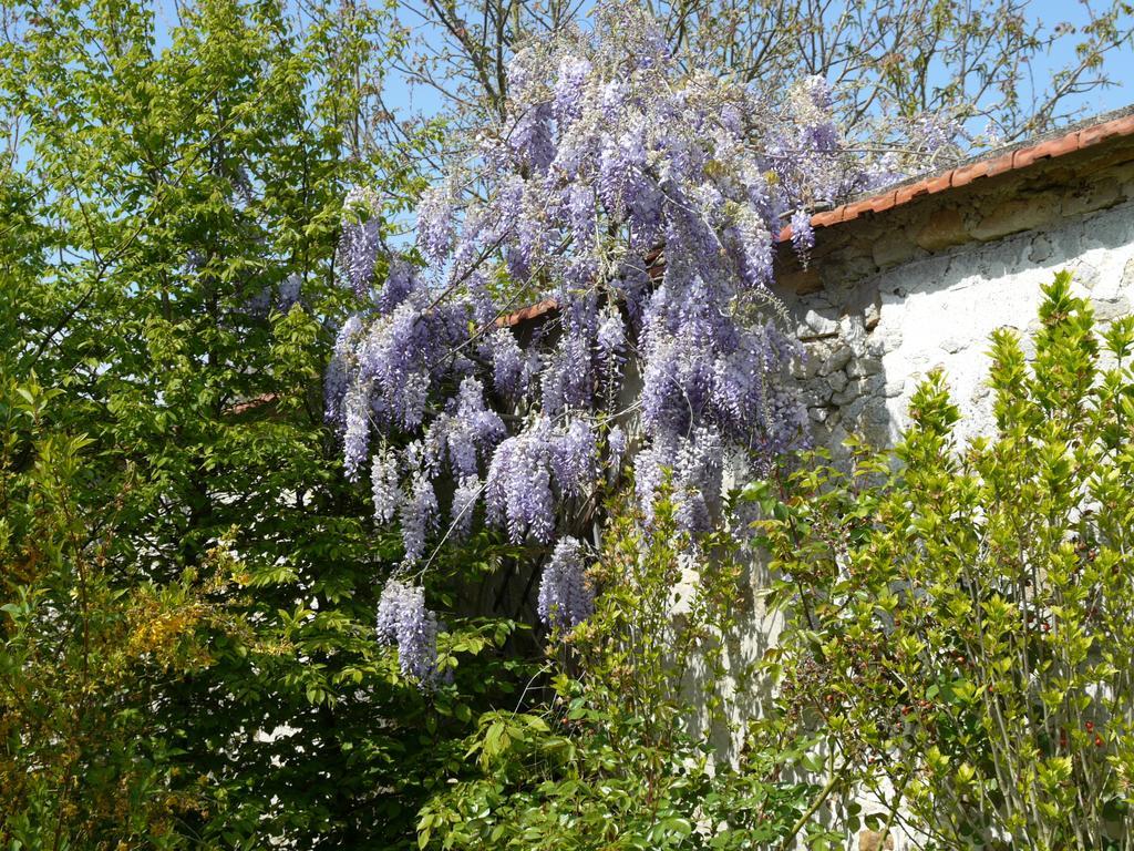 Gites De La Grande Ferme Avernes Ruang foto